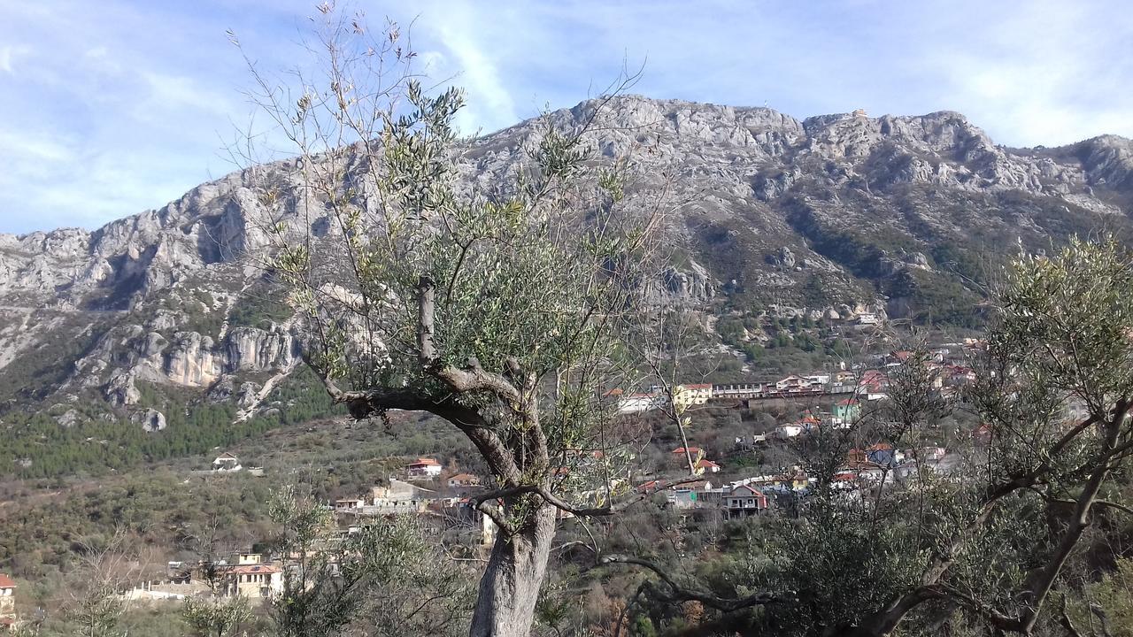 Kruja Hostel Екстер'єр фото