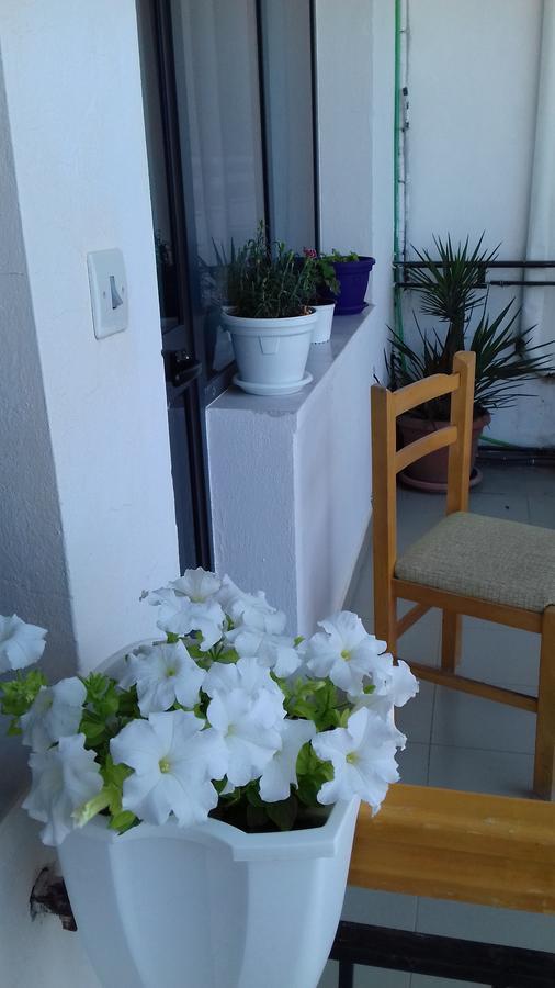 Kruja Hostel Екстер'єр фото