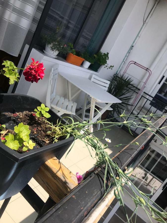 Kruja Hostel Екстер'єр фото